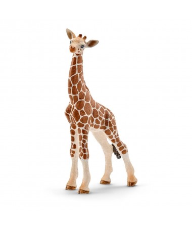 CRIA DE JIRAFA