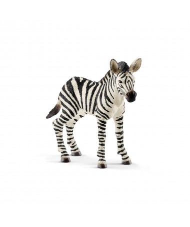 CRIA DE CEBRA