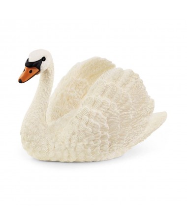 CISNE